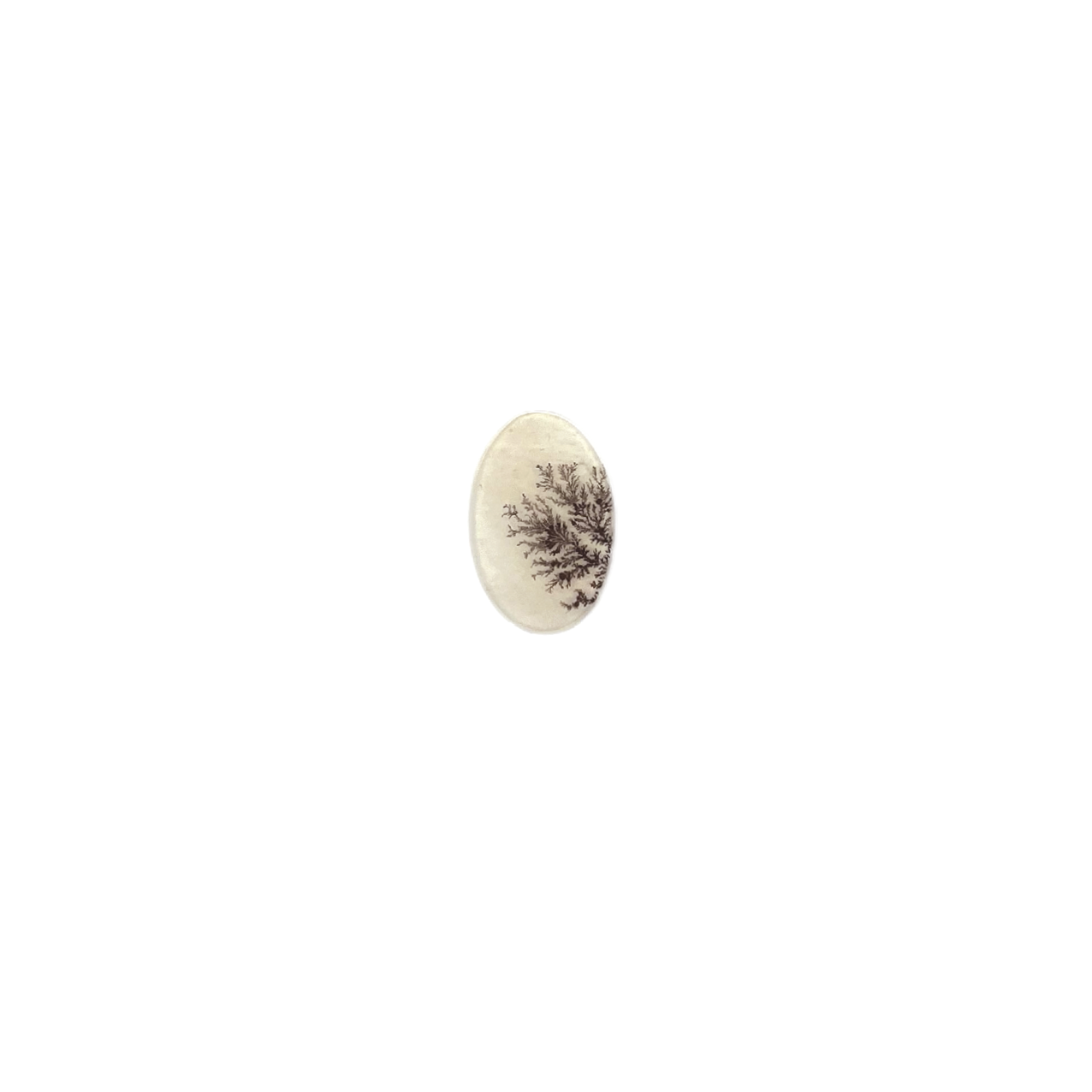 Quartz Dendritique Taillé - Forme ovale - 5