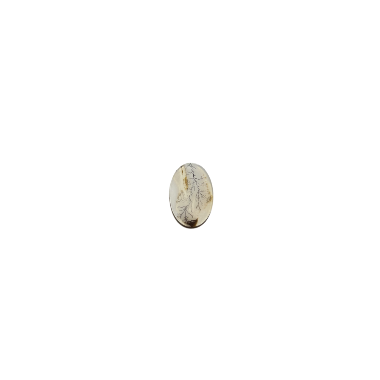 Quartz Dendritique Taillé - Forme ovale - 8